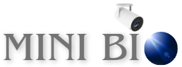 Mini Bio